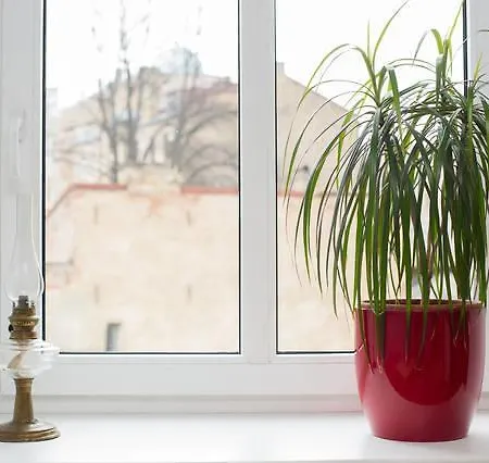 City Center Apartment *