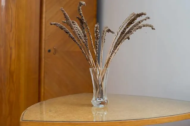 City Center Apartment