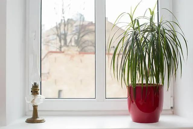 City Center Apartment *